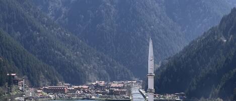 Family Studio Suite | Blackout drapes, free WiFi