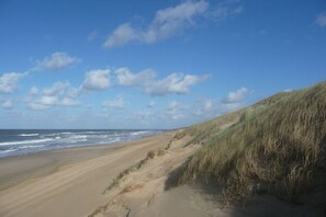 Beach - Villa Seewind Comfortable holiday residence (Julianadorp aan Zee)
