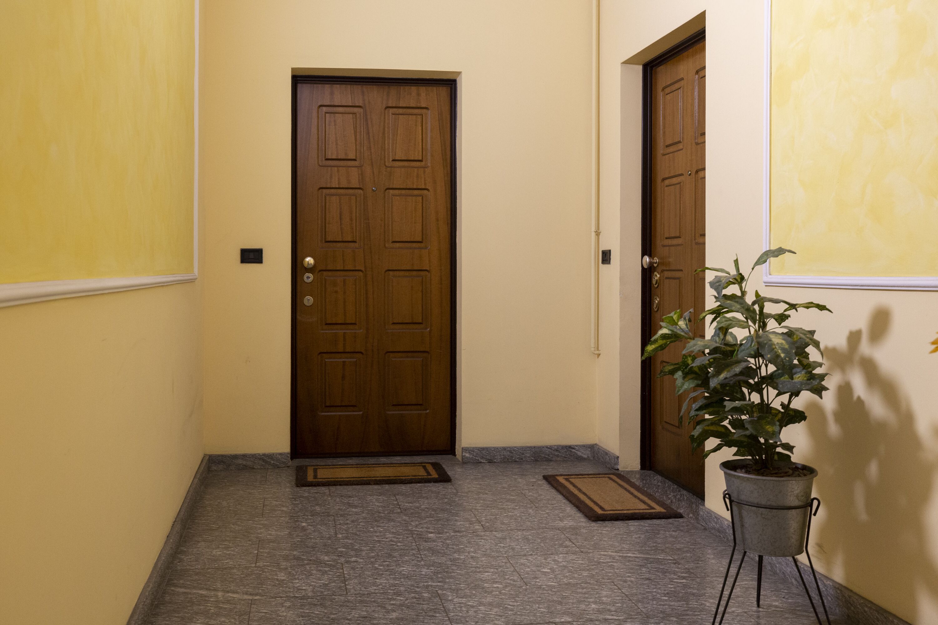 Um corredor com uma porta de madeira, um vaso de planta e um tapete de entrada.