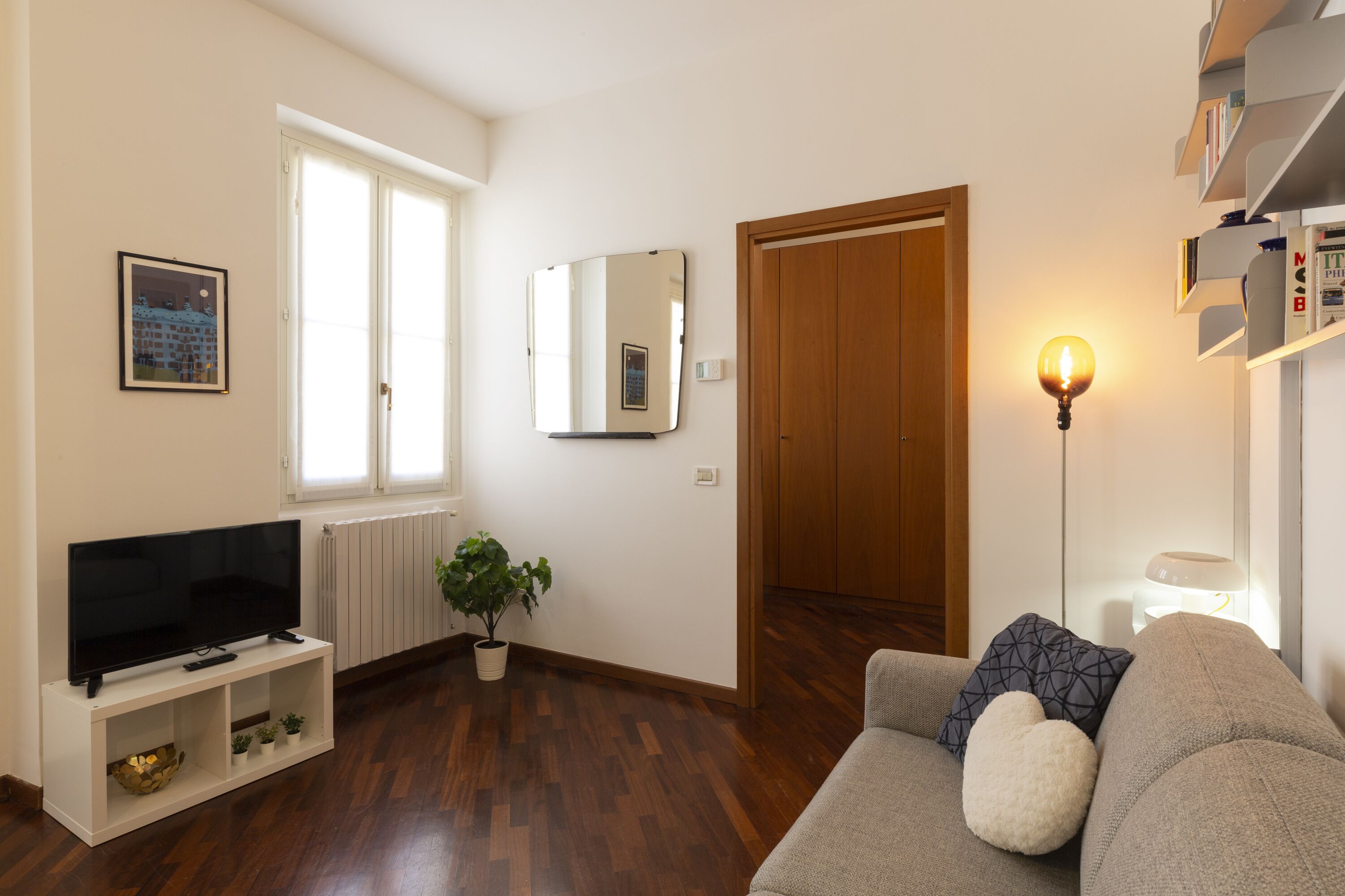 A living room with a TV, a potted plant, a sofa with cushions, a wooden door, and a wall-mounted mirror.