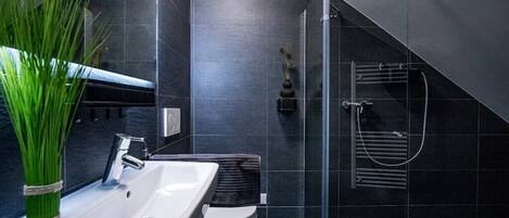 Shower, hair dryer, towels, soap
