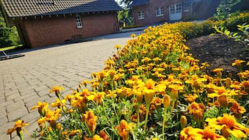 Ulkoalueet