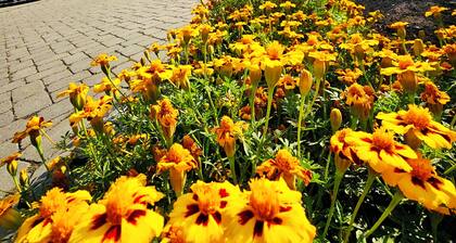 Gute Auszeit - Ferienhaus Ausblick