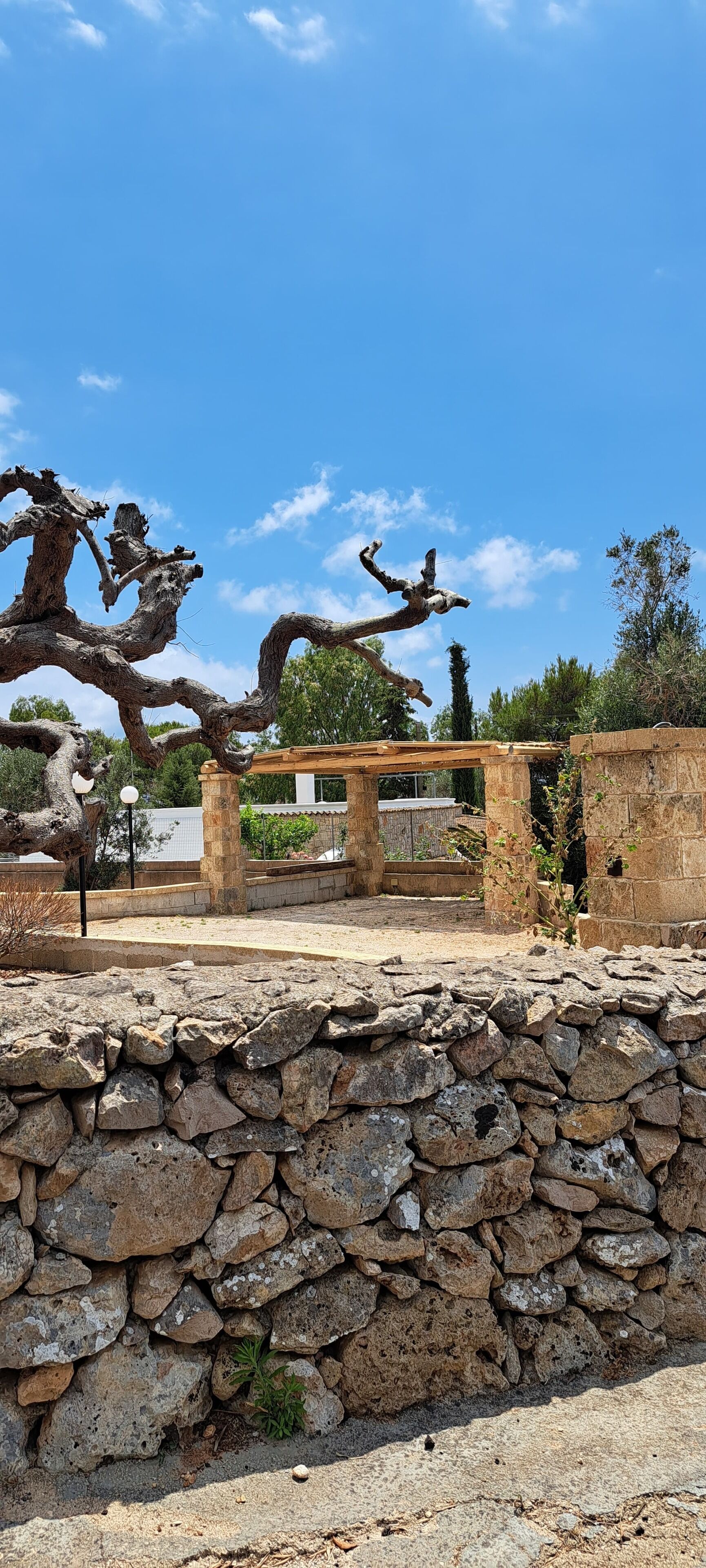 Parco della struttura