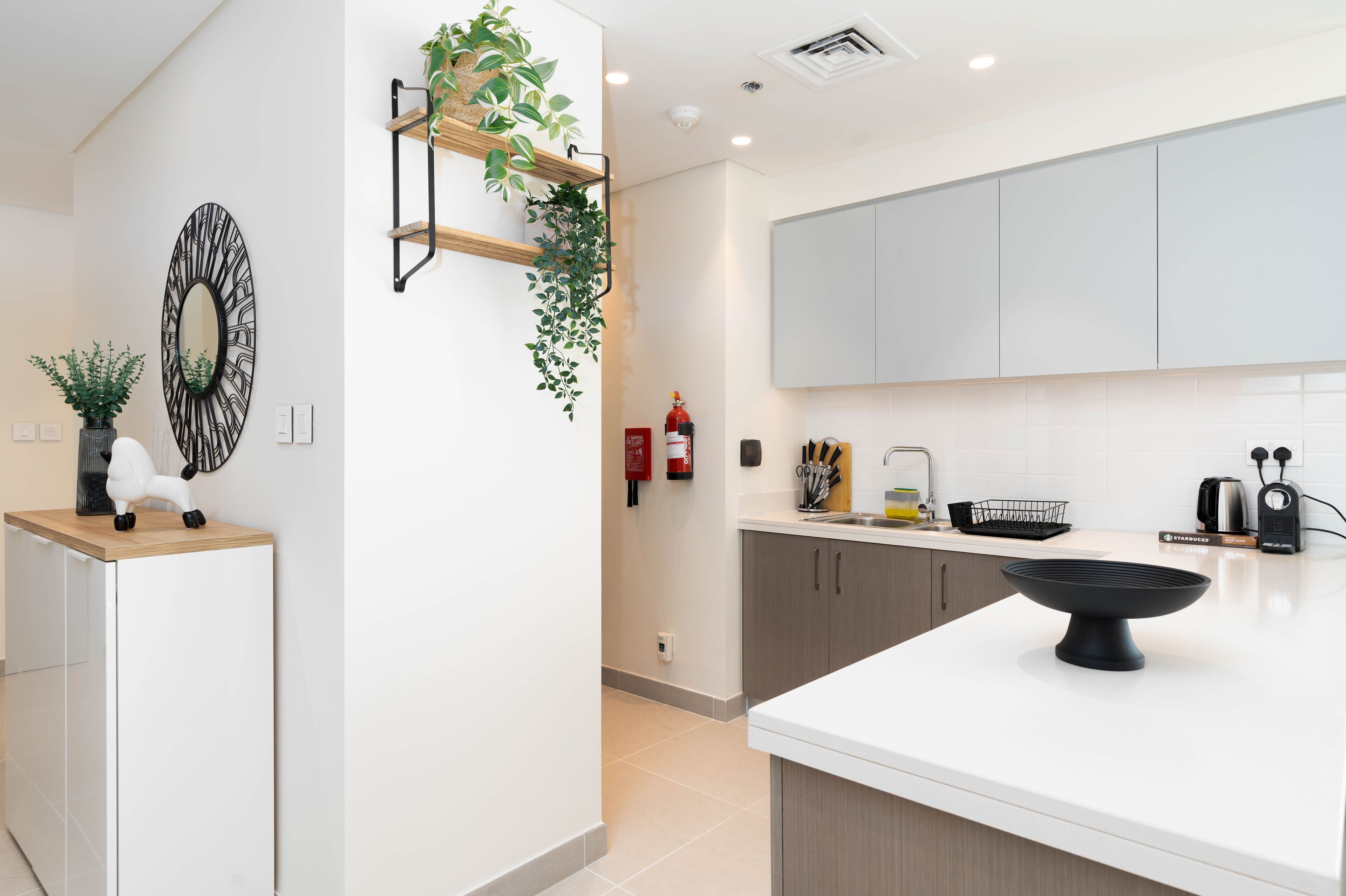 A modern kitchen with white cabinets, a black countertop, and a hanging plant.