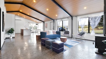 Smart TV, fireplace, video games, books