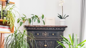 A room with a black ornate fireplace, a wooden desk, and various potted plants. - The Retro Romantic, by Veeve (Paris)