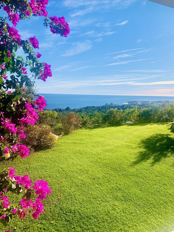 Property grounds - Appartement Spacieux, vue Splendide sur la mer Avec Piscine Privée (Sari-Solenzara)