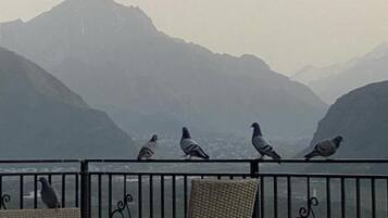 Deluxe Double Room | Terrace/patio