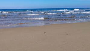 Une plage avec un ciel dégagé et des vagues sur l’océan.