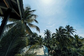 Vista dalla struttura