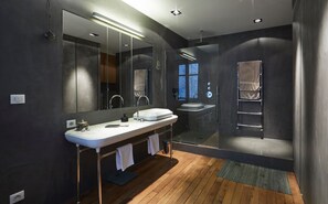 Shower, toilet paper - Spacious Parisian Apartment in Historic building, Private Garden (Paris)