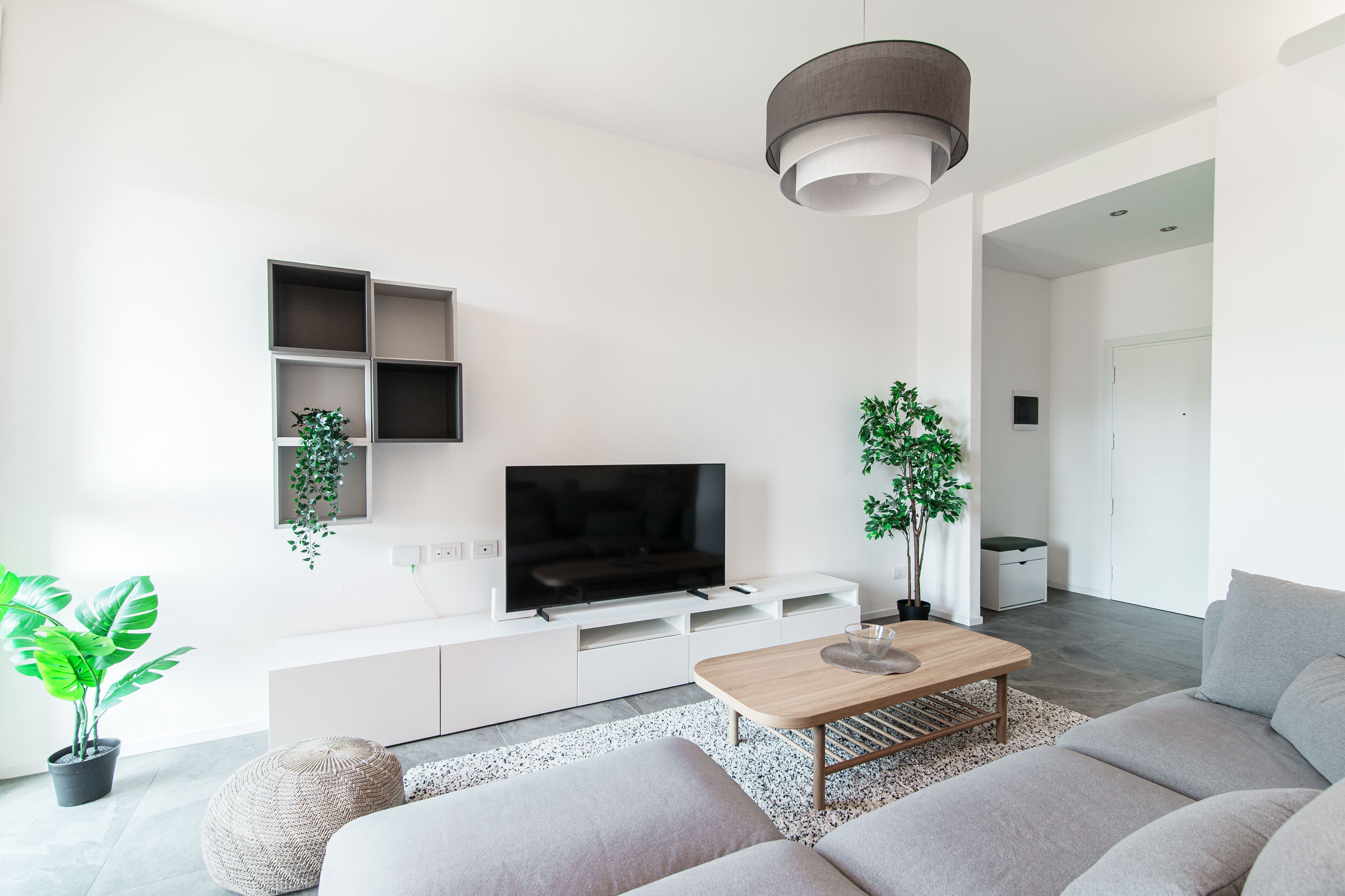 Un salon moderne avec un téléviseur à écran plat, une table basse en bois et un canapé gris. On y trouve deux plantes en pot et un luminaire suspendu.