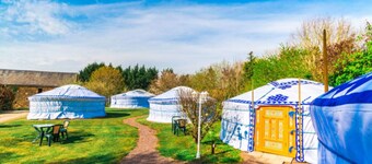 Yourte Traditionnelle de Mongolie : Idéale Pour un Séjour Insolite !