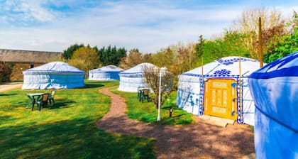 Yourte Traditionnelle de Mongolie : Idéale Pour un Séjour Insolite !