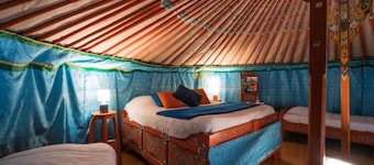 Yourte Traditionnelle de Mongolie : Idéale Pour un Séjour Insolite !