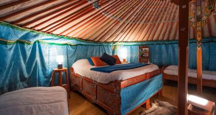 Yourte Traditionnelle de Mongolie : Idéale Pour un Séjour Insolite !