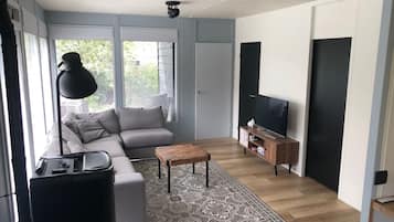 Smart TV, fireplace, books