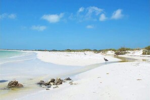 Playa en los alrededores
