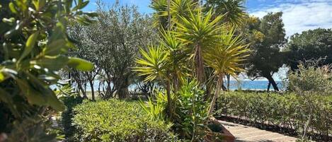 Overnattingsstedets uteområder