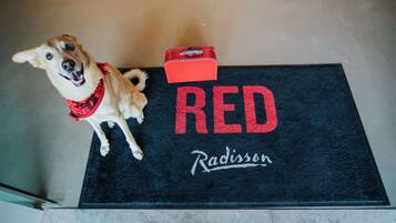 A dog sitting on a doormat with the word "RED" and the name "Radisson" visible.