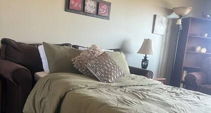 Niagara Falls is only 30minutes away.Airport 4 min away. Family & pet friendly!