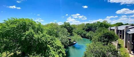A river with a boat, surrounded by lush greenery and modern buildings with a clear blue sky.