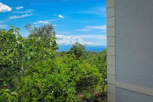 Vista desde la propiedad