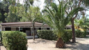 A building with a tiled roof, surrounded by well-maintained bushes and a palm tree. - Grotta dell' Acqua (Peschici)