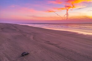 A beach with a car and tire tracks, leading to the ocean.
