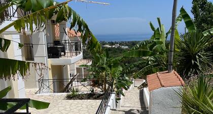 Paris use at Ratzakli