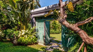 A lush garden with a stone pathway leading to a green door, surrounded by tropical plants and a tree with yellow flowers. - Hevea Villas (Seminyak)