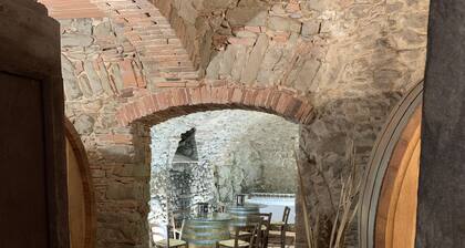 Castellinuzza