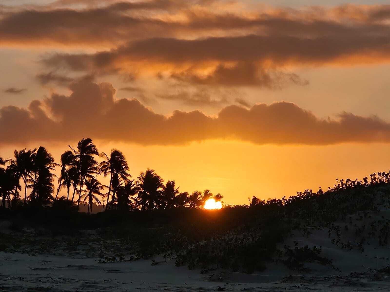 Ein Sonnenuntergang über einem Strand, Palmen als Silhouette vor dem Himmel.