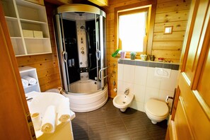 Shower, hair dryer, bidet, towels