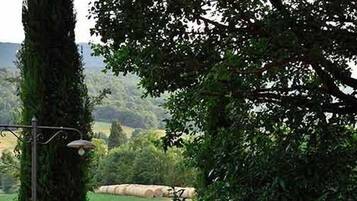 Un banc en pierre avec un foyer rustique, le tout situé dans un jardin.