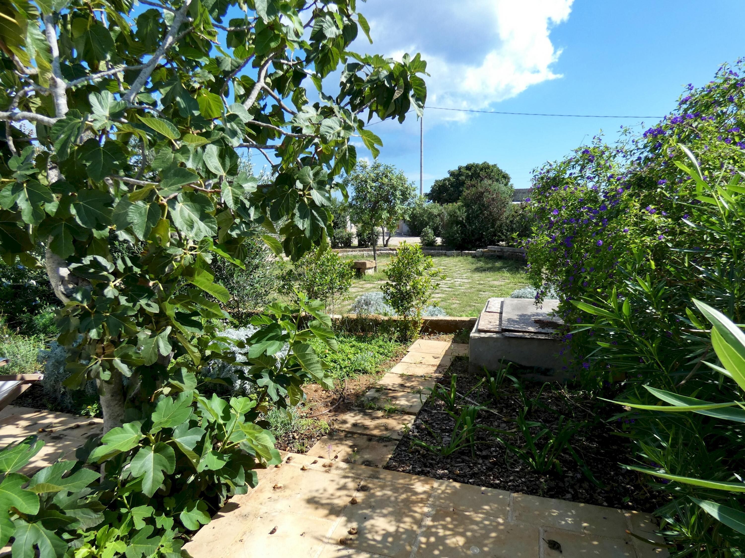 Un jardin où l’on trouve une grande variété de plantes et un chemin pavé.