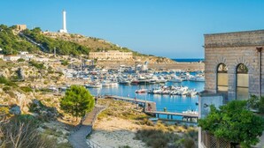 A coastal town with a marina, a lighthouse, and a historic building.