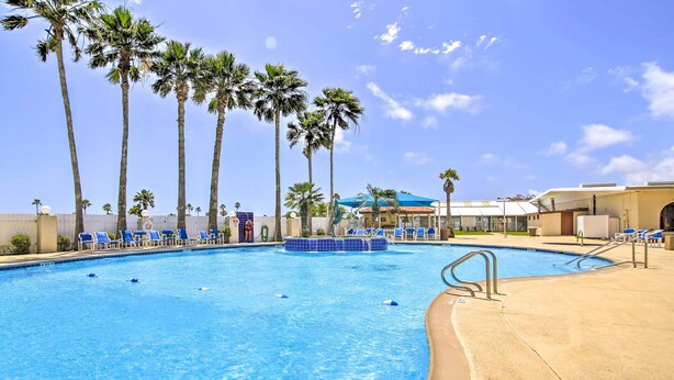 Une piscine à l’eau bleue, entourée de palmiers et de chaises longues bleues.