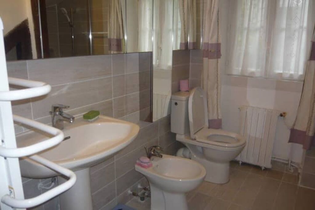 A bathroom with a sink, toilet, bidet, and a shower area.