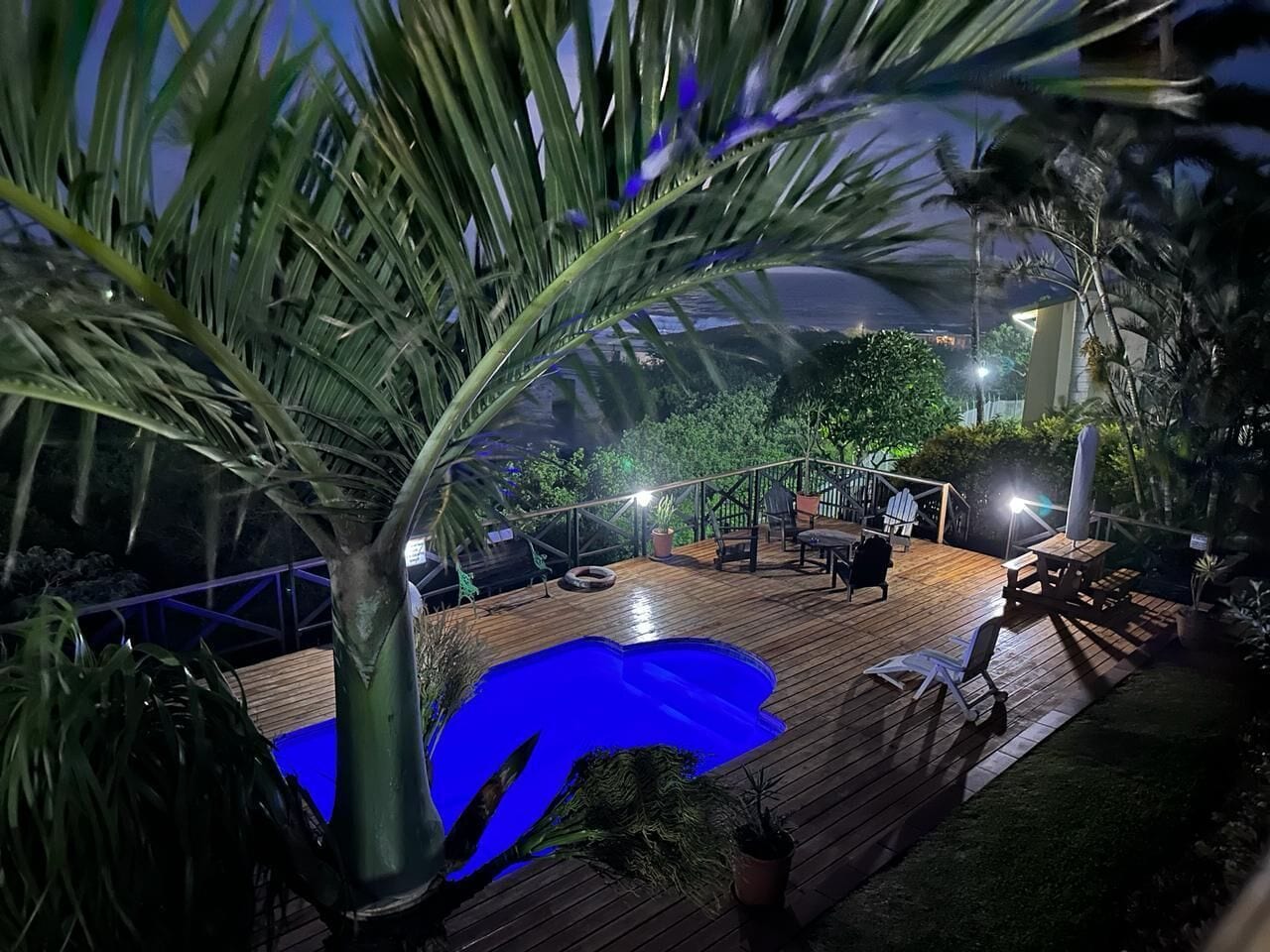 Um deck de madeira com piscina, cercado por palmeiras e plantas em vasos.