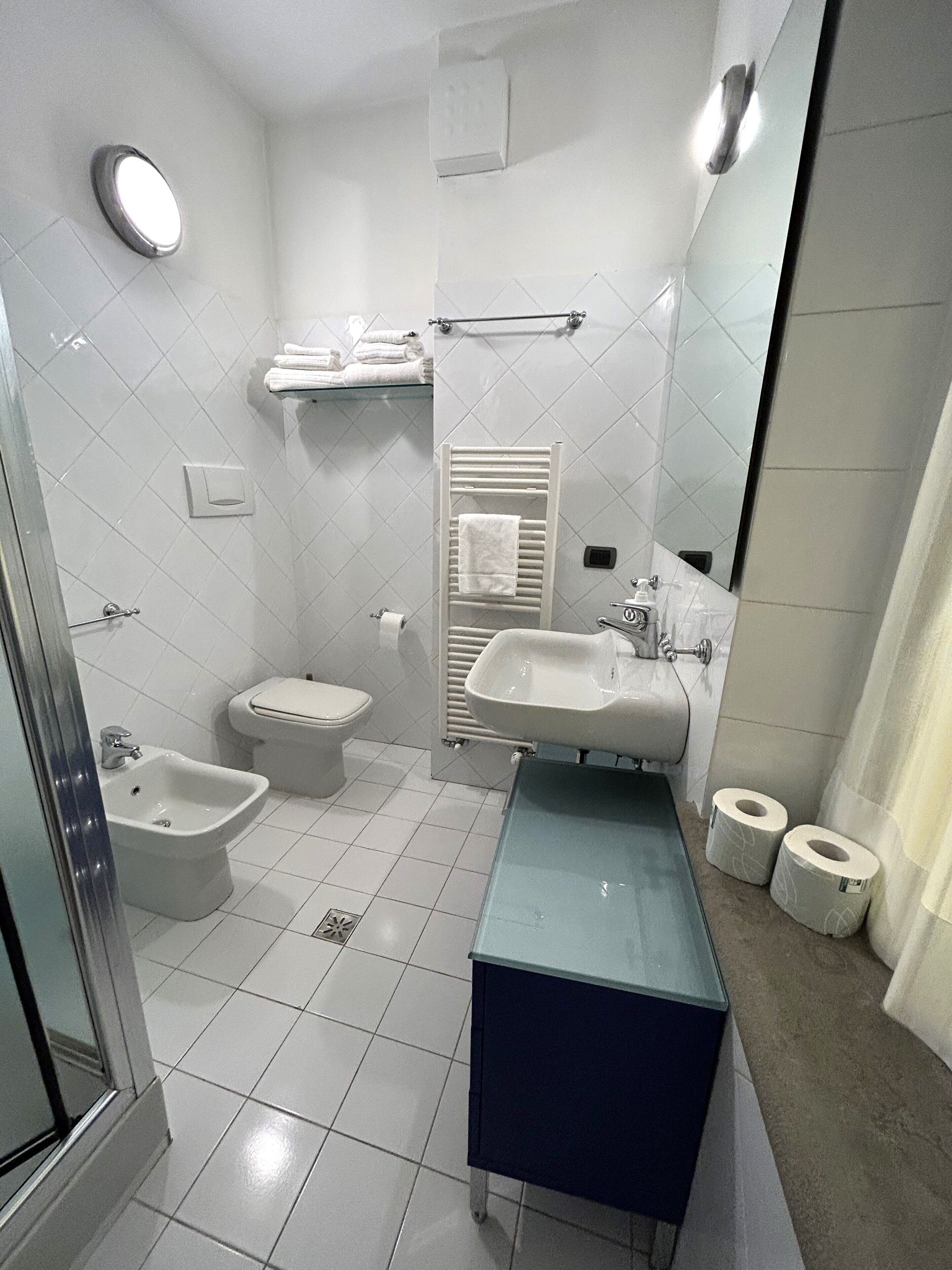 Dusche, Haartrockner, Bidet, Handtücher