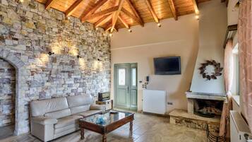 Télévision, cheminée, espaces bureaux