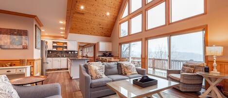 TV connectée, cheminée, lecteur de DVD