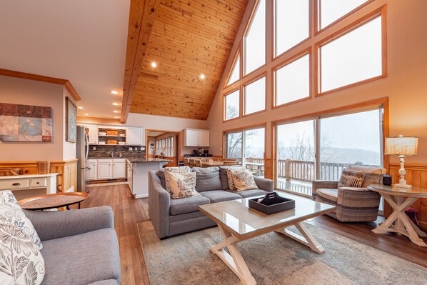 TV connectée, cheminée, lecteur de DVD