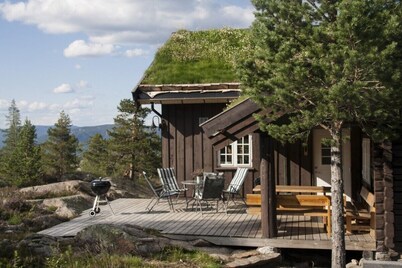 Modern log cabin on Blefjell