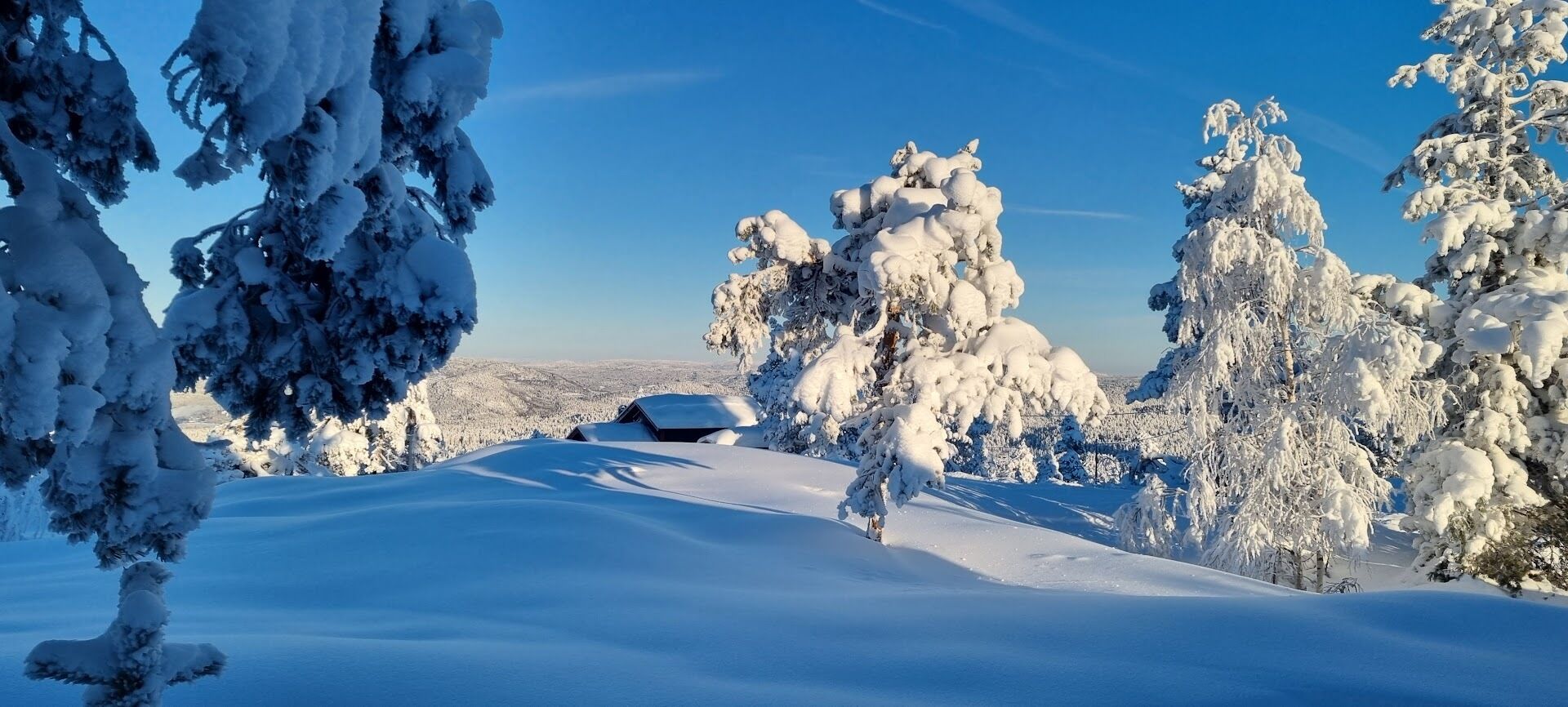 A snowy landscape with a clear blue sky, snow-covered trees, and a distant view of a town.