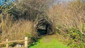 A narrow pathway surrounded by dense shrubbery and trees.