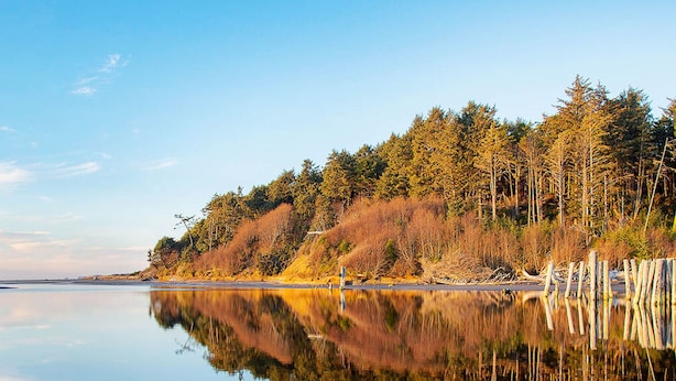 A calm lake with a clear reflection of trees and a wooden fence.