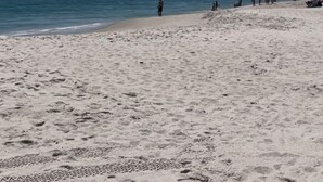 Une plage où l’on voit des empreintes de pas menant à l’eau, quelques personnes qui se promènent et un ciel dégagé.
